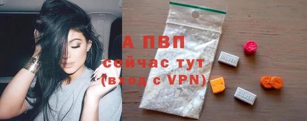 спайс Вяземский