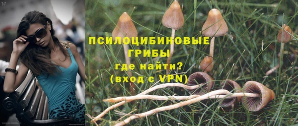spice Вязьма
