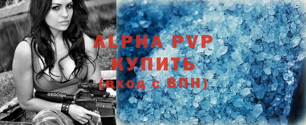 спайс Вяземский