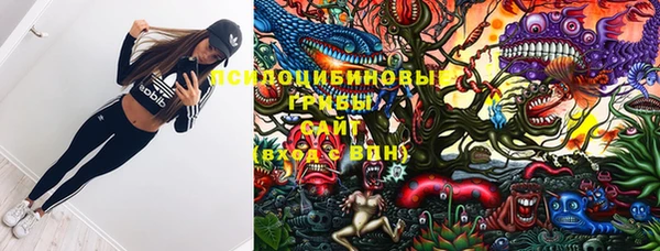 спайс Вяземский