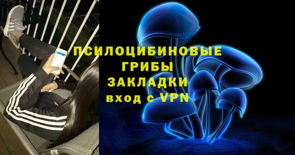 spice Вязники
