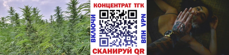 ТГК Wax  Купить где  Невель 