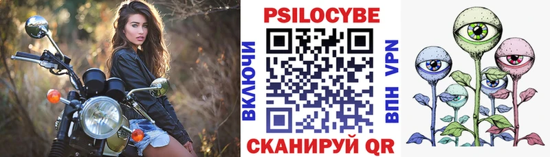 Купить где  Невель  Галлюциногенные грибы Cubensis 